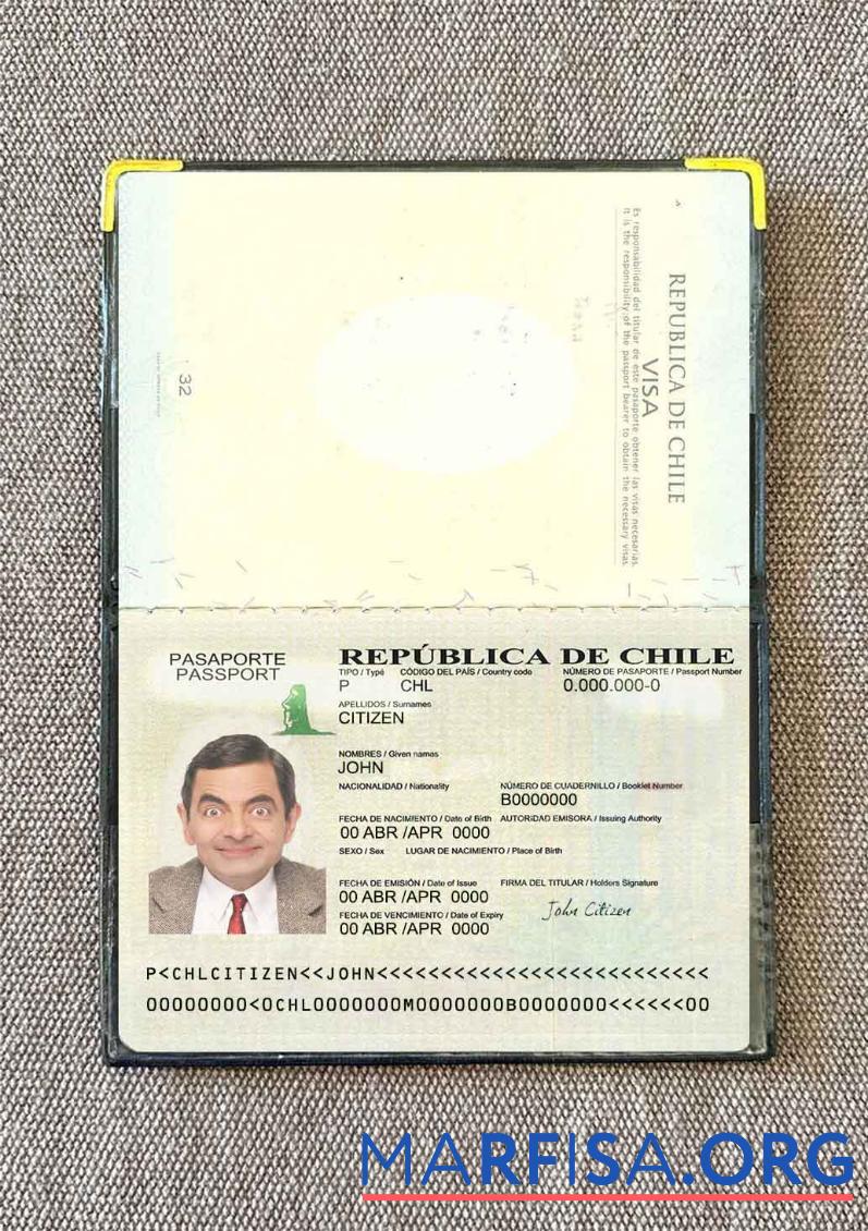Blank Chile passport version 2 photo look sample